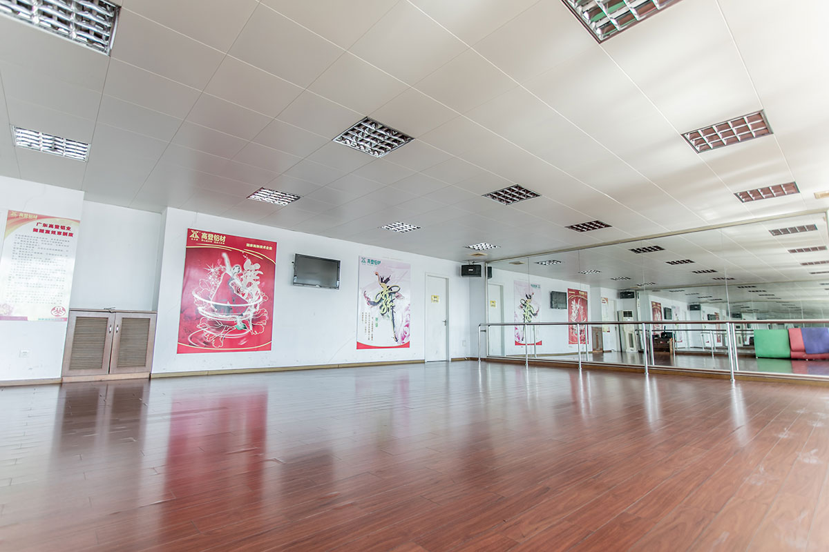 mg冰球突破十大平台舞蹈室