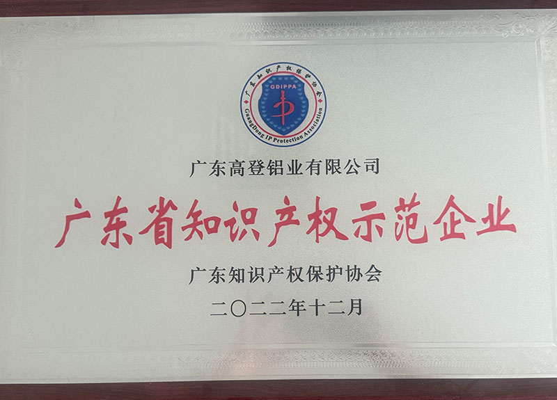 广东省知识产权示范企业