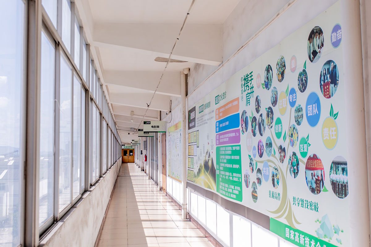 mg冰球突破十大平台娱乐活动区