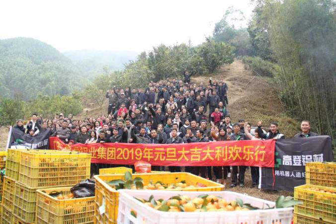 这一年，很多事，让mg冰球突破十大平台乐不思蜀