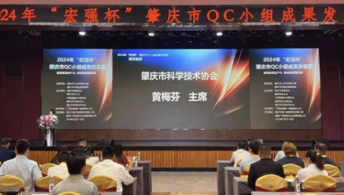 质量铸就辉煌|广东mg冰球突破十大平台铝业集团2024年荣誉满载，展望创新驱动的新时代！