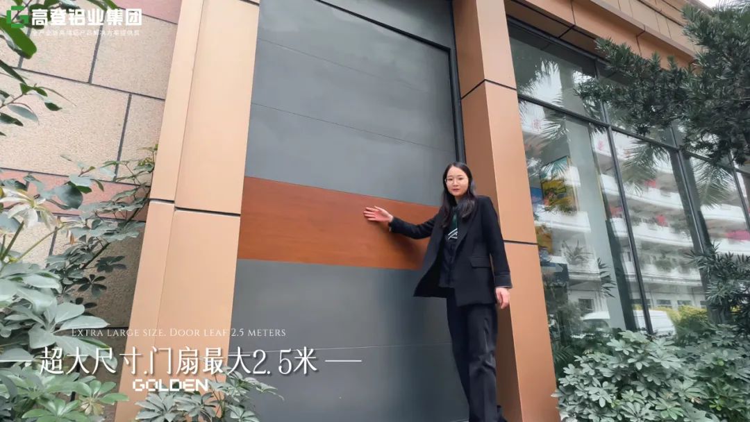 让创新引领每一个人丨：豰g冰球突破十大平台·谧境美学偏轴门系统荣获“第十届北极星建筑奖”